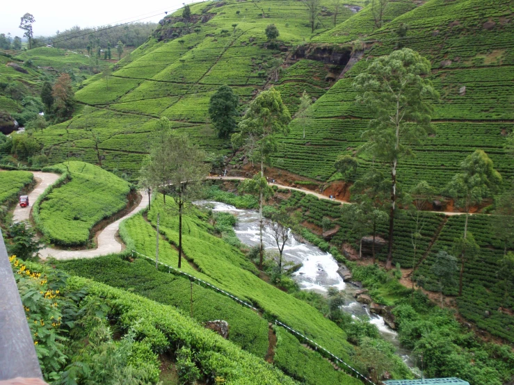 two people looking at a lush green hill