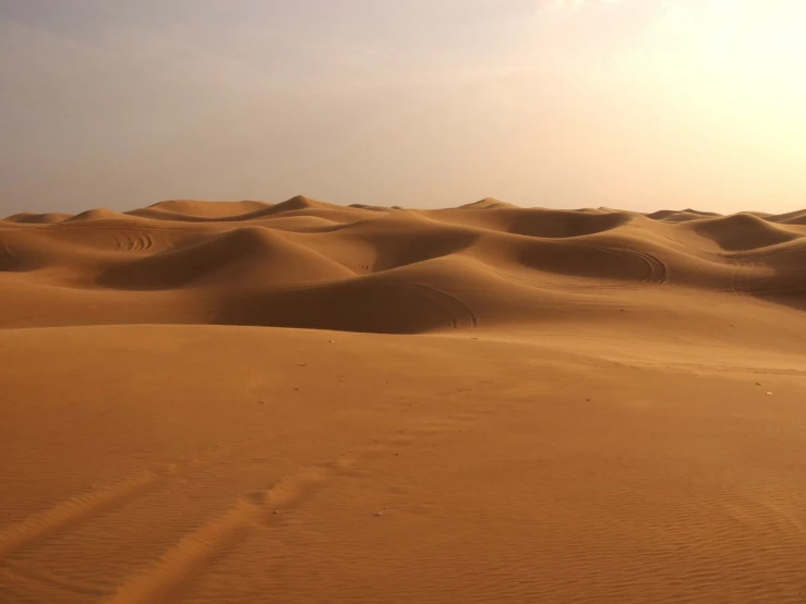 the bright yellow desert is full of beautiful dunes