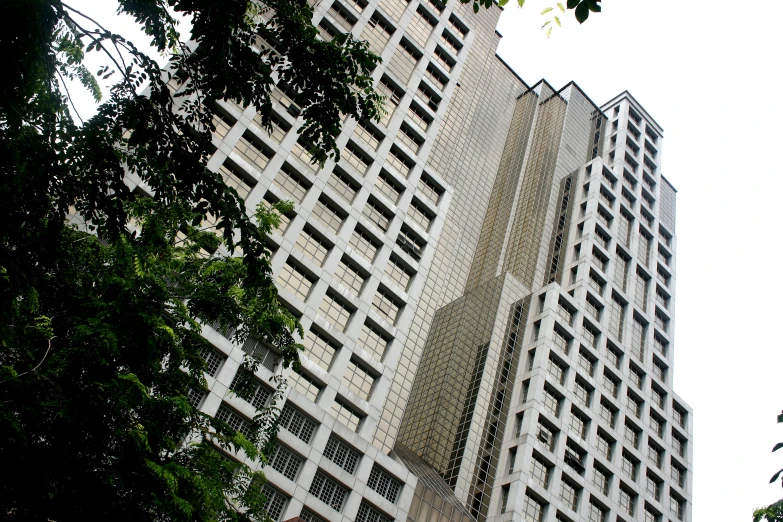 an image of two tall buildings with trees in the foreground