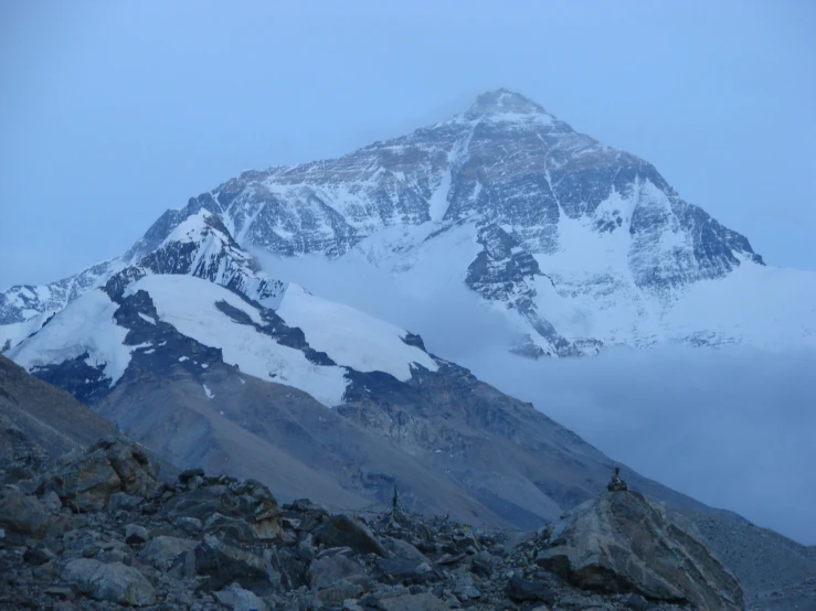 a large snowy mountain towering over a forest