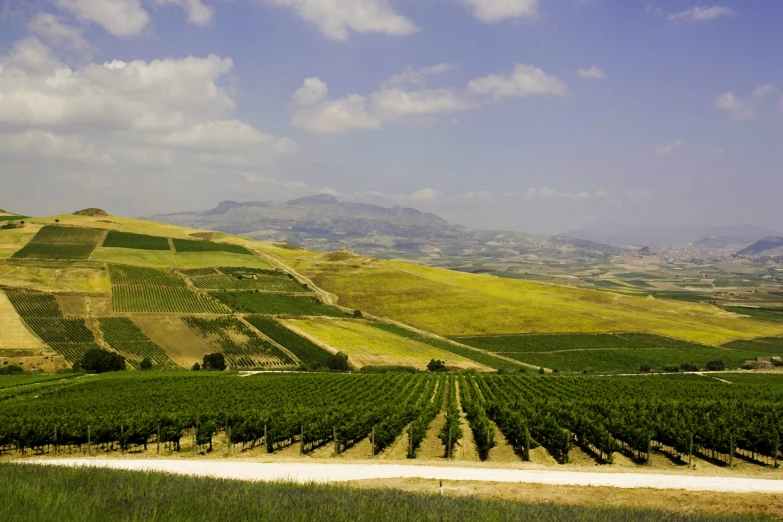 a wide, green valley filled with trees and rolling hills in the distance