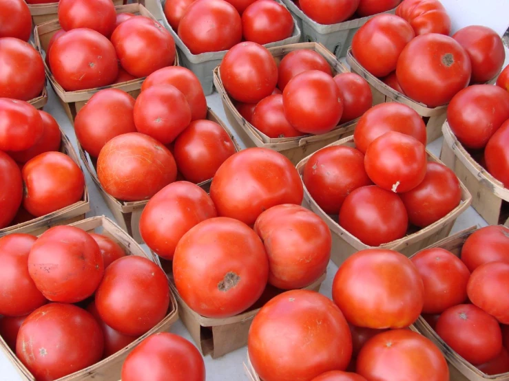 tomatoes are sitting in brown boxes with white table cloth