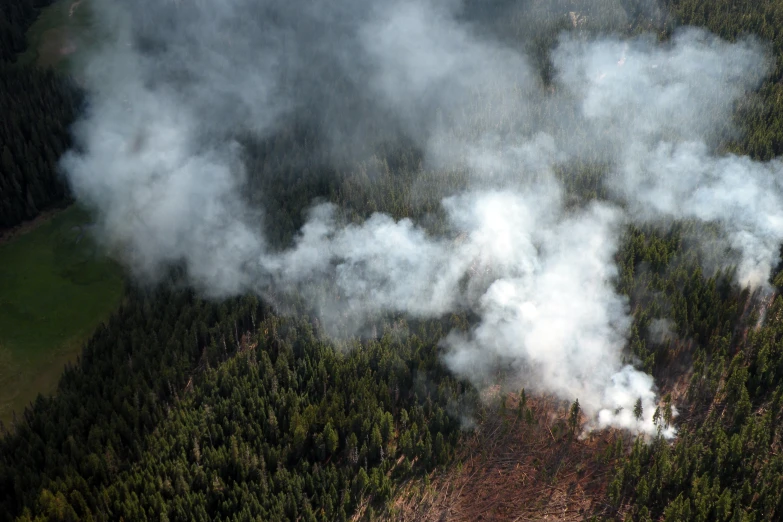 an aerial po of a forested area in the woods