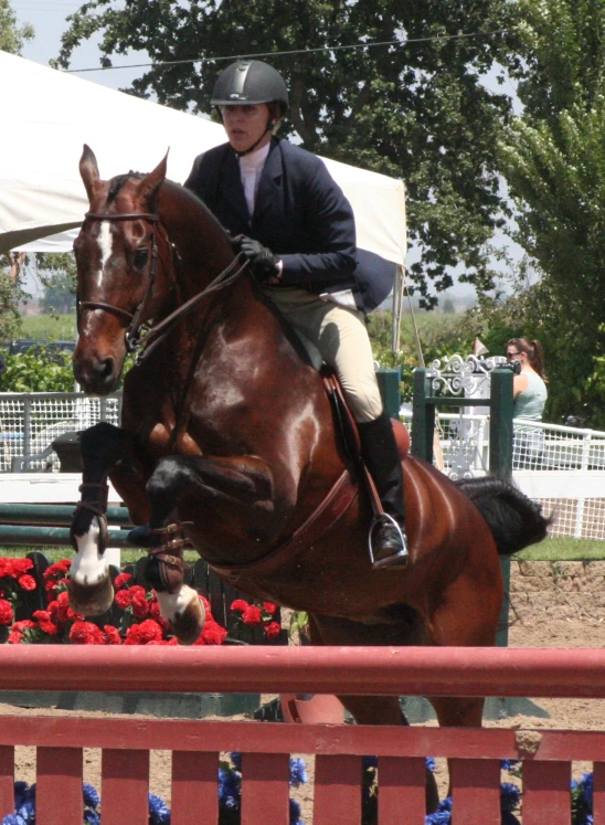 a person jumping a horse over an obstacle