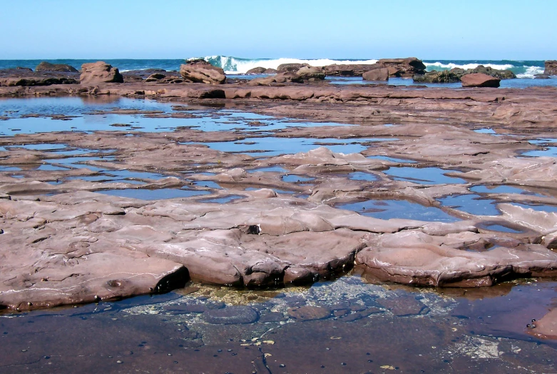 rocks near the water on the beach near the ocean