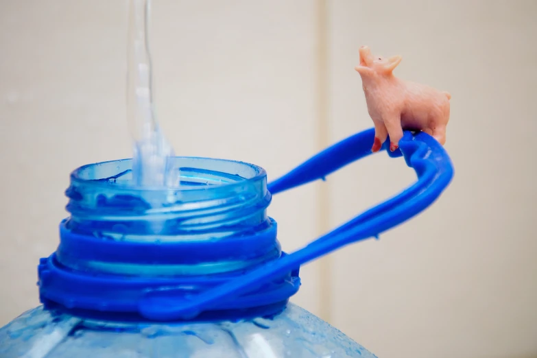 the toy pig is on top of the plastic water bottle