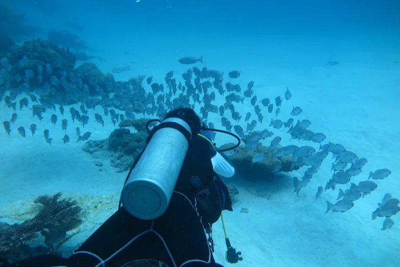 man underwater surrounded by school of fish and pipe