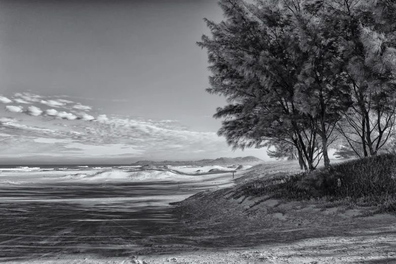 the black and white landscape has waves crashing in on to the beach