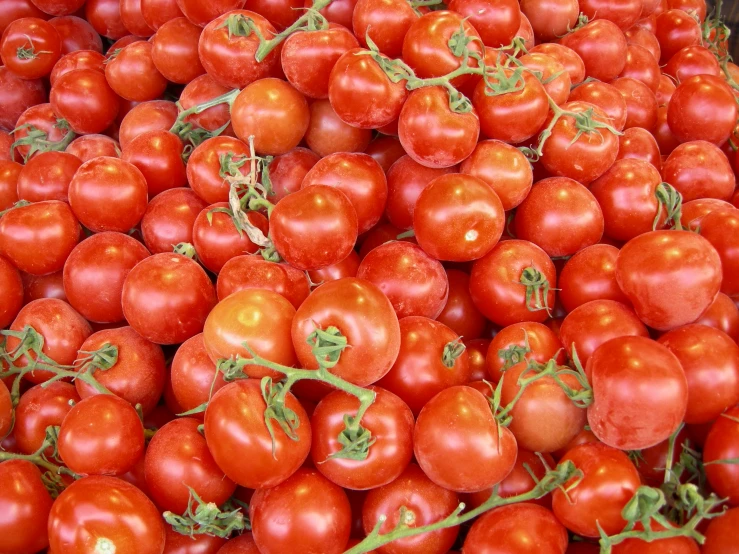 a large pile of red tomatoes stacked on top of each other