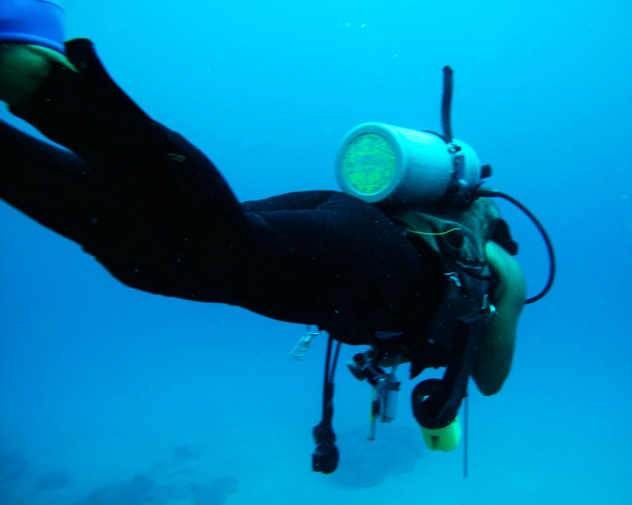 a man in black wetsuit scubas through clear blue water