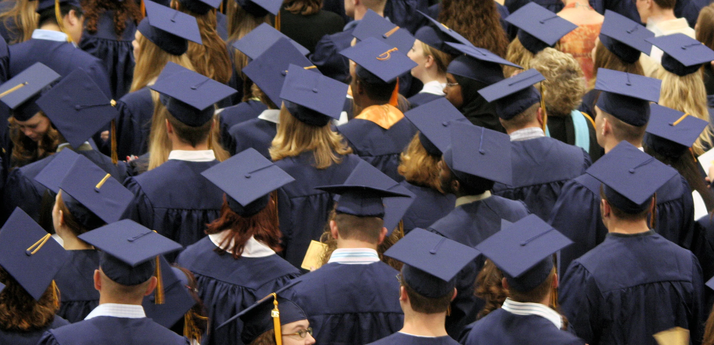 group of graduates in caps and gowns standing in a row