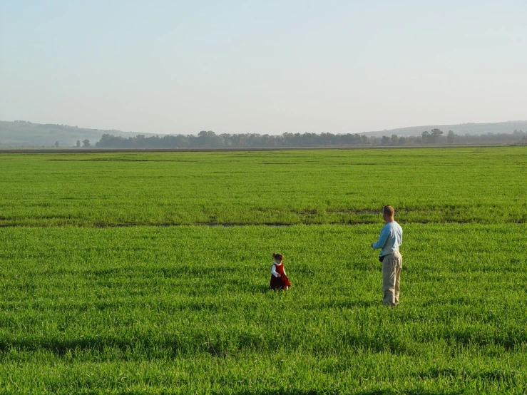 man and child flying kite in a green field