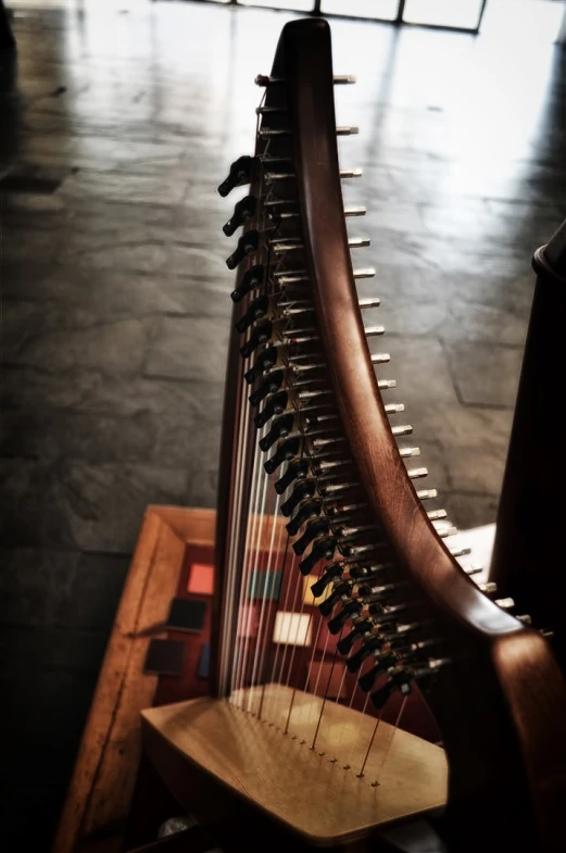 a music instrument with strings and metal strings