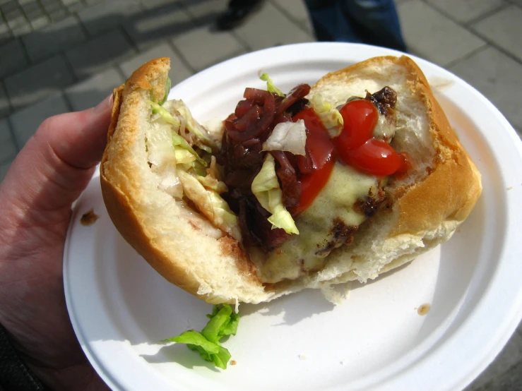 a sandwich is sitting on a paper plate