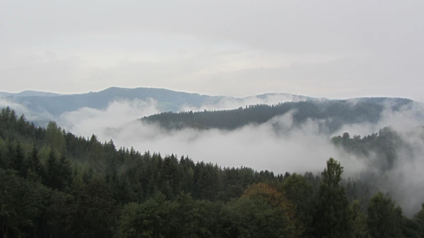 there is a mountain covered in fog and trees