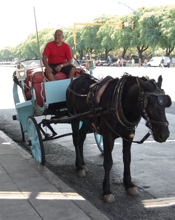 the man sits in the carriage pulled by a horse