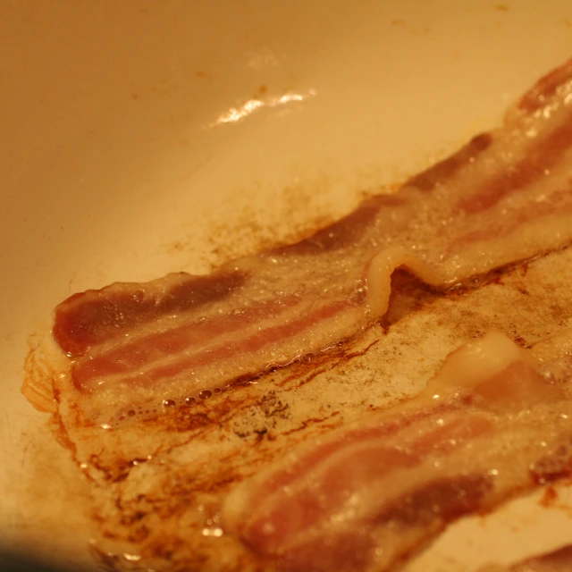 bacon is sitting in a bowl on the counter