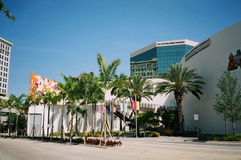 the front of an office building with a large, colorful, palm tree