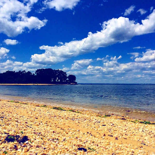 a sandy beach covered in lots of sand