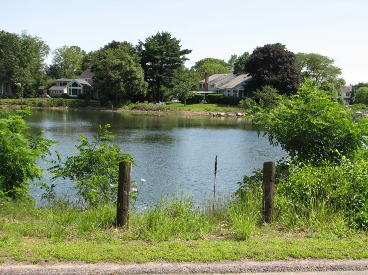 there is a horse eating at the side of this lake