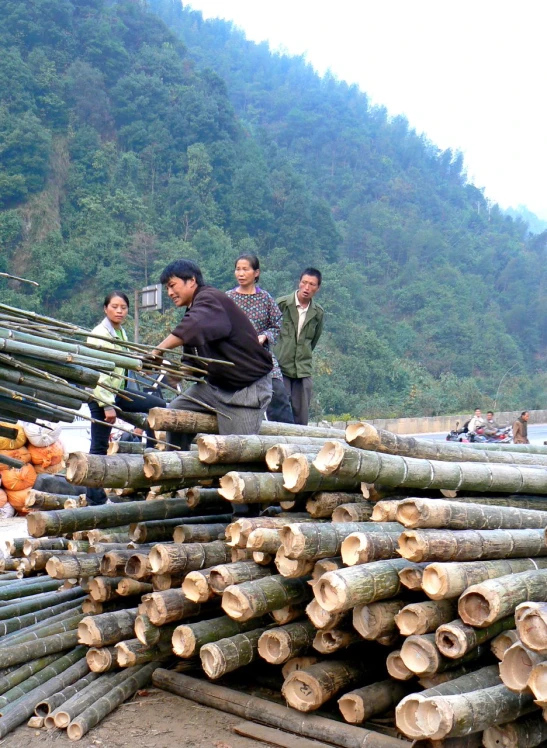 people on top of stacks of logs in front of a mountain