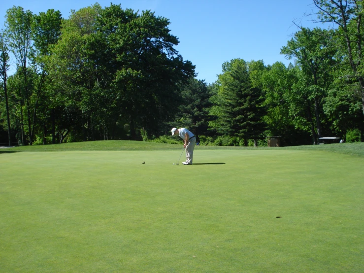 there is a man on the green playing golf