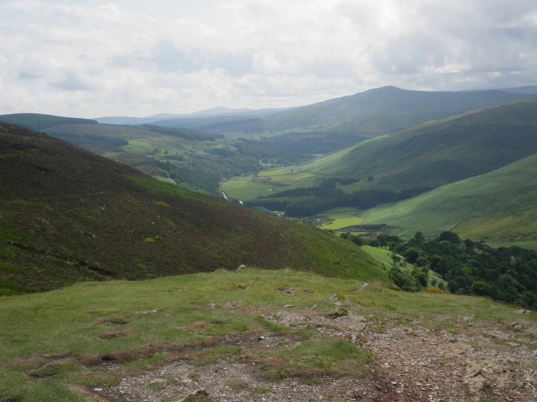 a sheep standing alone in the middle of a mountain landscape