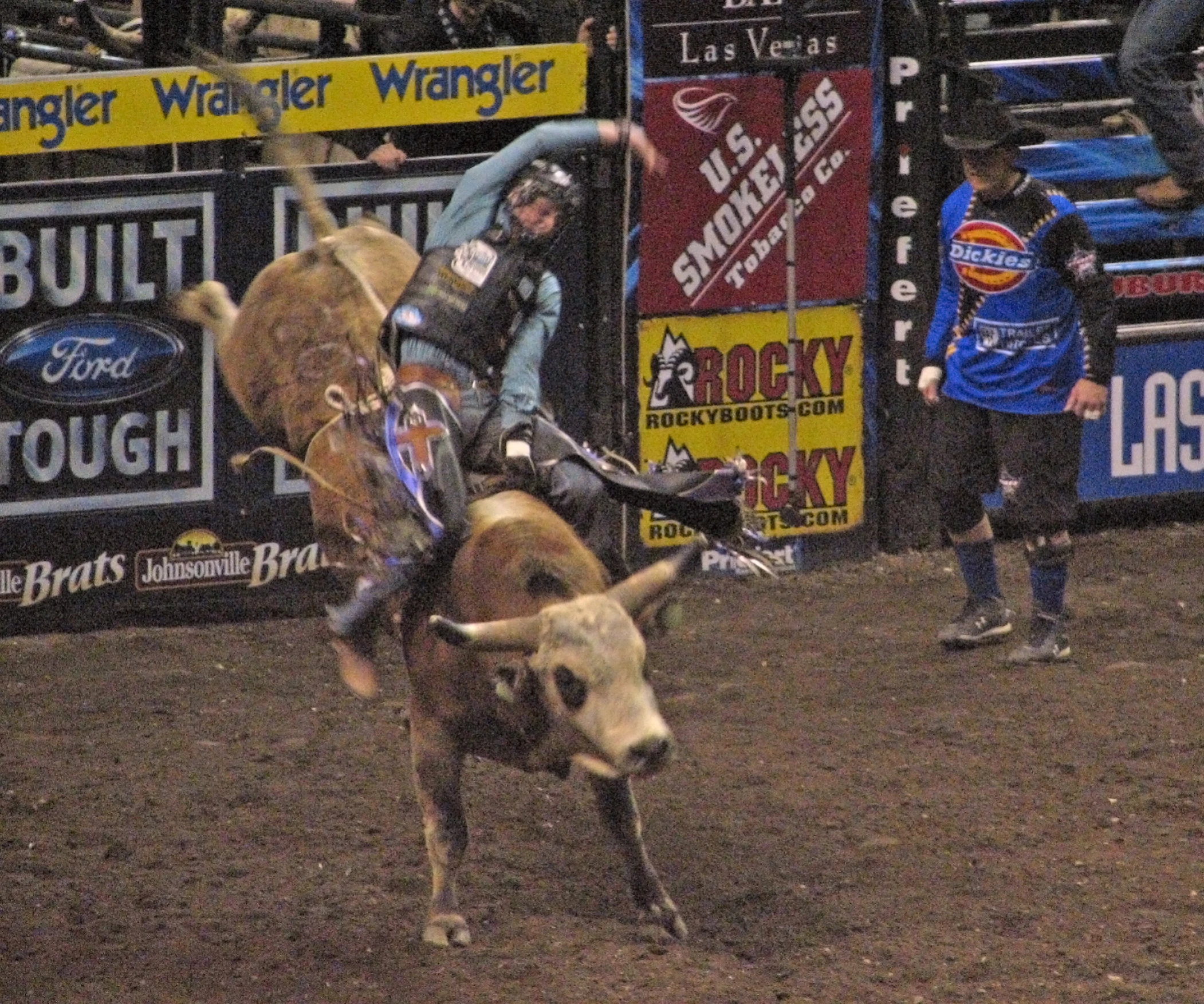 cowboy on bucked horse during competition in the dirt