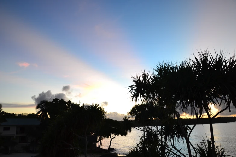 the sun is setting over some trees near a body of water