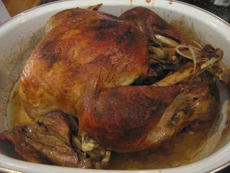 a roasted whole turkey in a pan