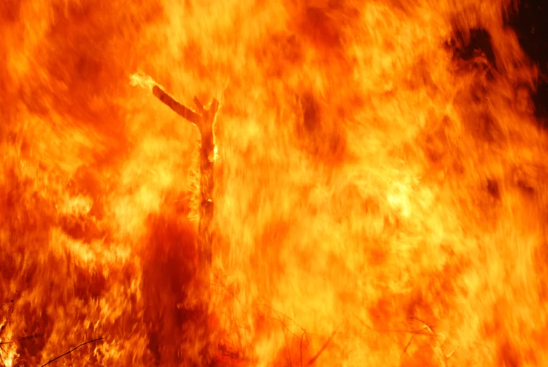 a cross is on top of a tree that is burning