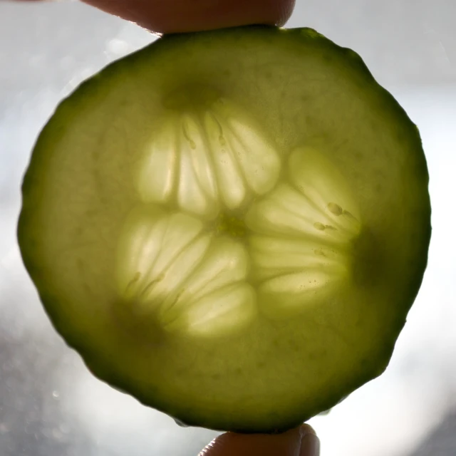 a green piece of cucumber being held in someone's hand