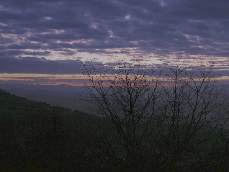 this is a purple sunset and a lone tree on the hill