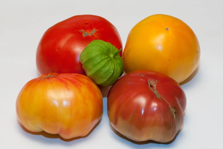 a group of five tomatoes on a white surface