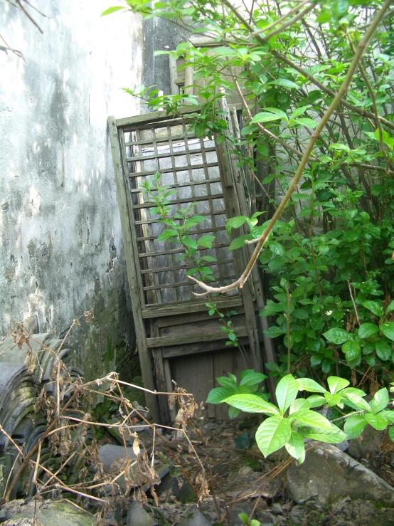 a chair sitting in a yard next to some rocks