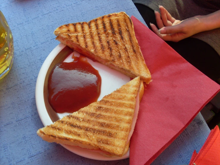 a grilled sandwich with ketchup on a plate