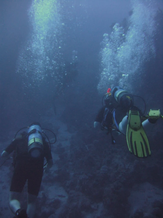 the divers look at the fish under the boat