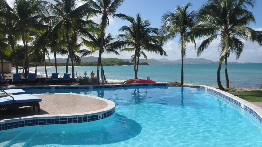 the swimming pool is surrounded by palm trees