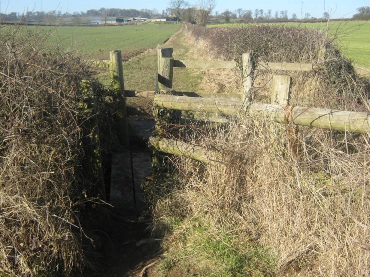 a fence and path through a grassy area