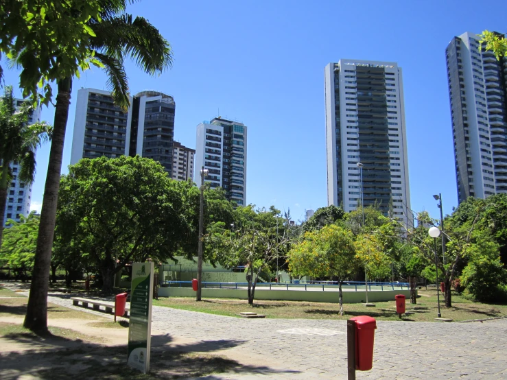 tall buildings near trees in the city