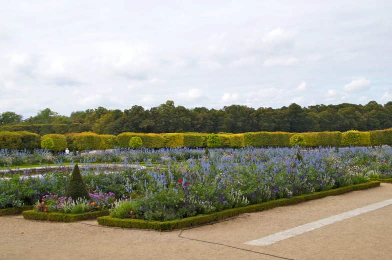 a big garden with lots of flowers and a white street sign