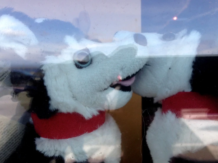 a stuffed animal sitting in a glass window