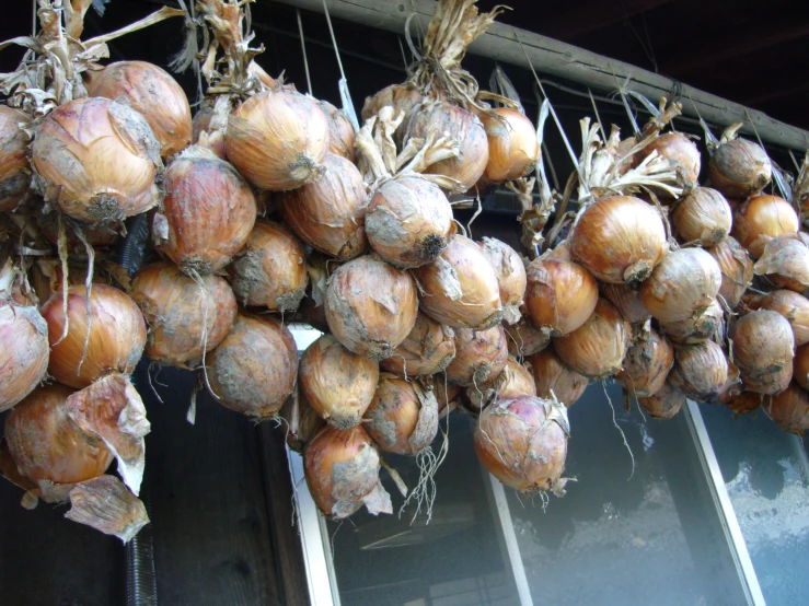 onions hanging from a building next to a doorway
