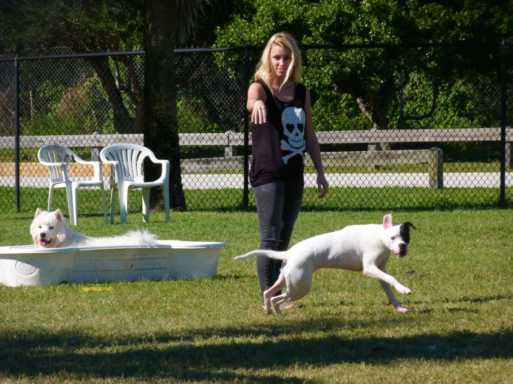 a person in the grass with two dogs