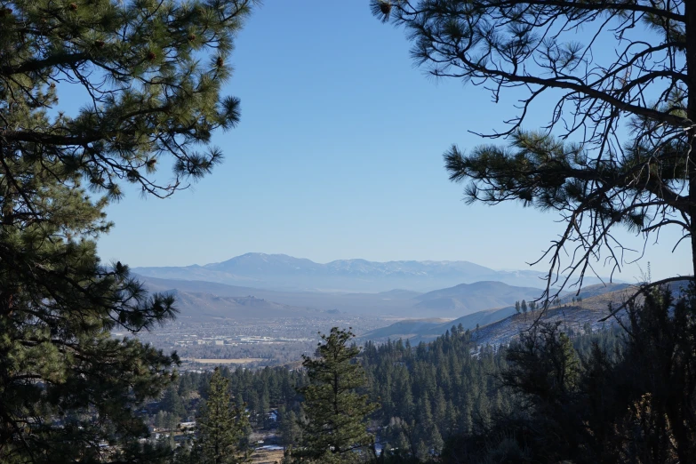 view of a mountain range surrounded by trees