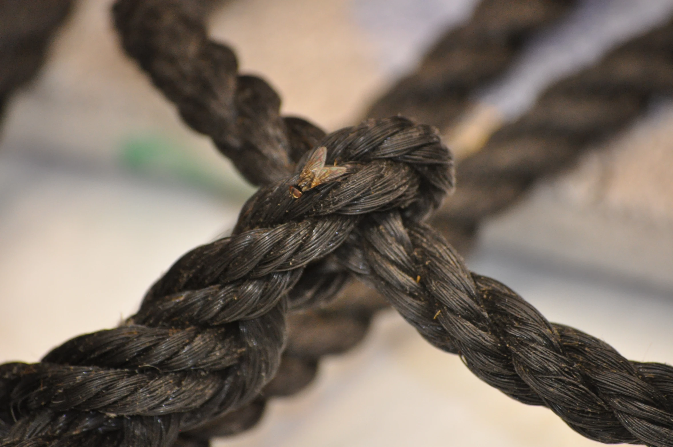 the brown rope is knotted into the shape of a heart