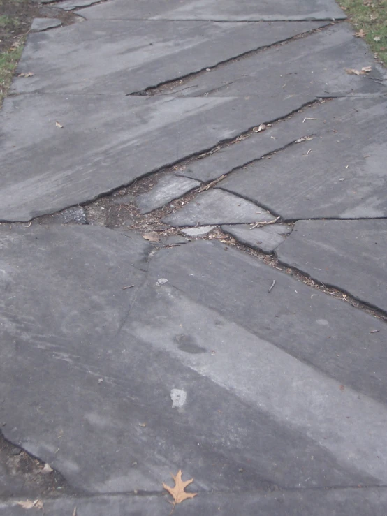 an arrow shape on the pavement by some leaves