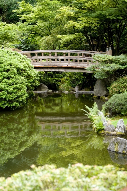 the landscape features trees and a bridge in the middle of it