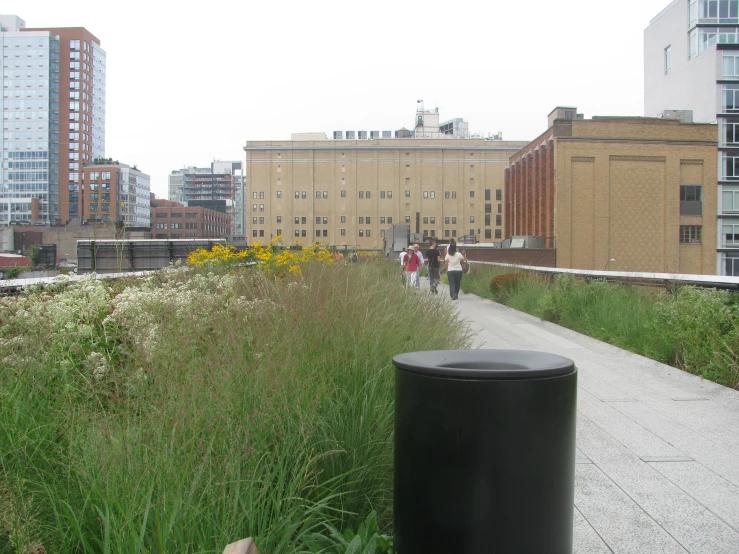 people walking and standing in the grass in front of a building