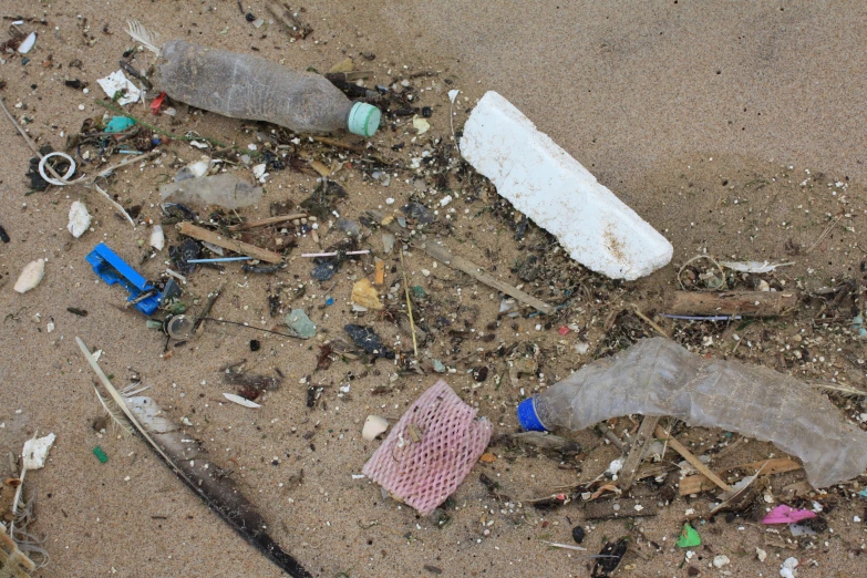 an image of a group of debris in the sand